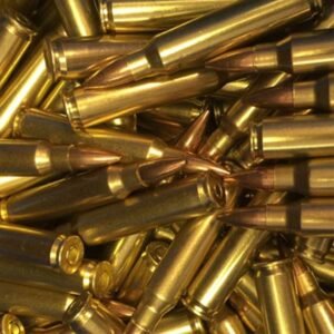 Lake City 5.56 M193 55 Grain